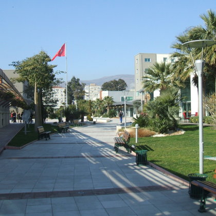 Yasar 11